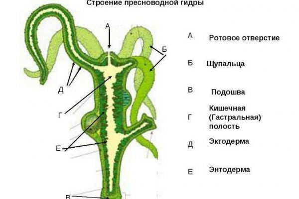 Что продает кракен