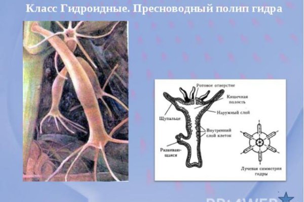 Кракен интернет площадка