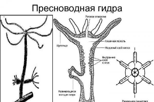 Ссылка на кракен шоп