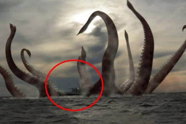 Kraken рабочее зеркало