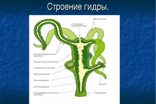 Как найти ссылку на кракен